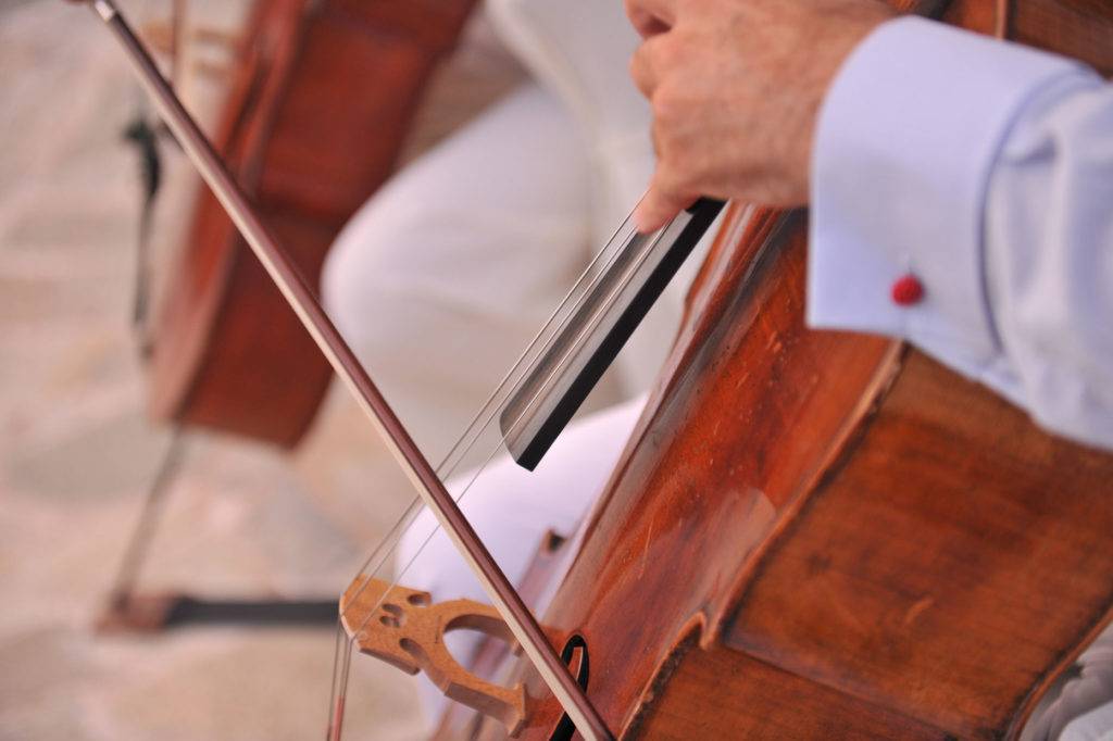 Fotografos Gamou Lagonisi (29)