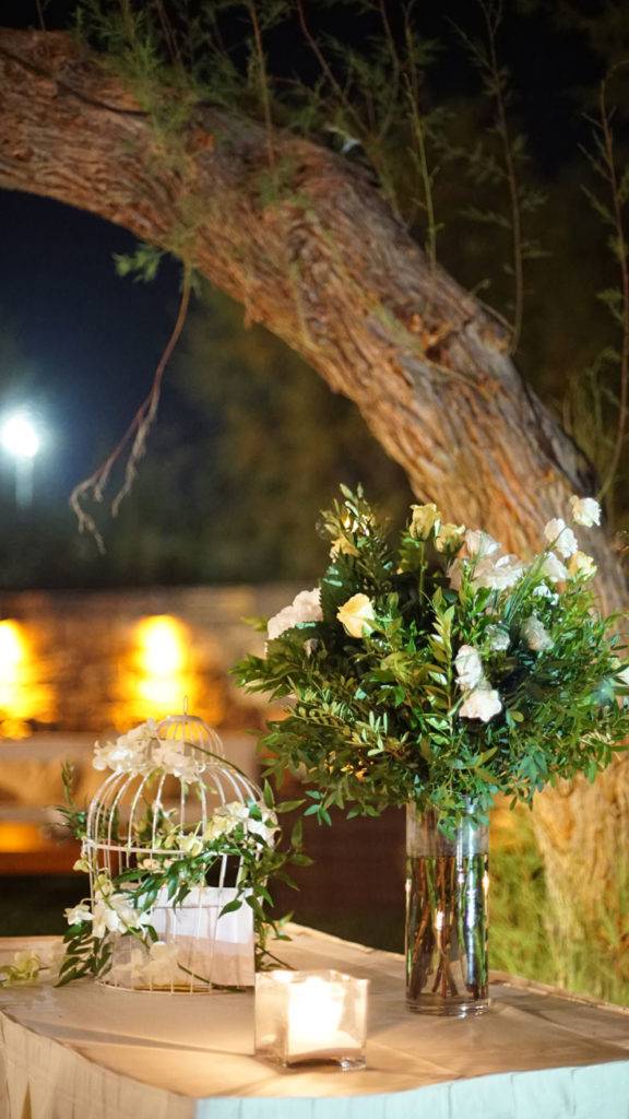 Fotografos Gamou Lagonisi (53)