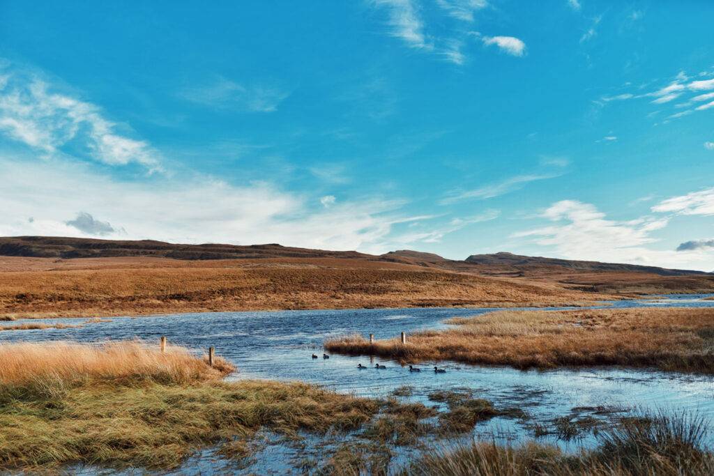 Fotografisi Gamou Edimvourgo Kai Thessaloniki (30)